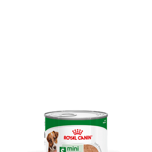 Royal Canin MINI ADULT Mousse