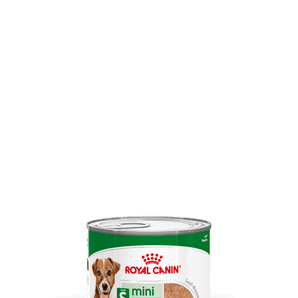 Royal Canin MINI AGEING Mousse