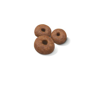 Royal Canin GIANT STARTER
