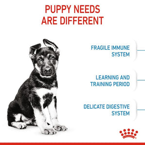Royal Canin MAXI PUPPY