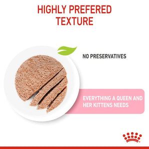 Royal Canin MOTHER & BABYCAT Mousse