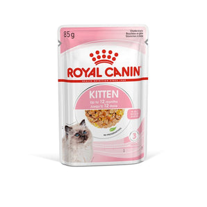 Royal Canin KITTEN in Gelee
