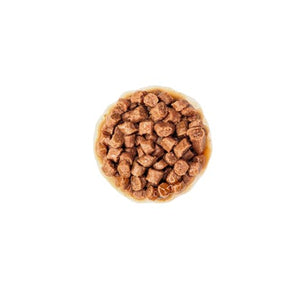 Royal Canin X-SMALL PUPPY in Soße