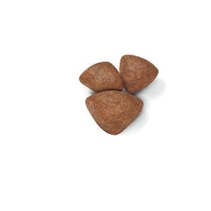 Royal Canin MINI STARTER MOTHER & BABYDOG