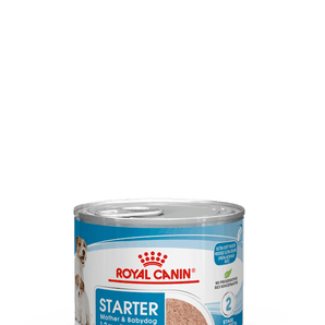 Royal Canin STARTER Mousse