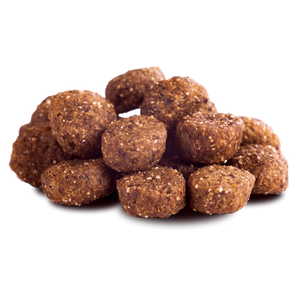 The Goodstuff Dog Senior & Adult Light Huhn+ 2 Gratis-Snacks