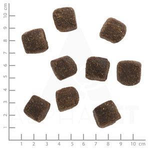 Wolfsblut Squashies Wide Plain Large Breed - Pferdefleisch & Süßkartoffel 3 x 300g.