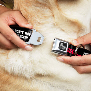 Buckle-Down Hundehalsband "SERIOUSLY…YOU DON'T HAVE A CHANCE"