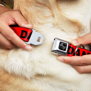 Buckle-Down Hundehalsband "DANGER"